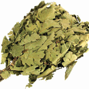 From Russia VENIK- (Oak)